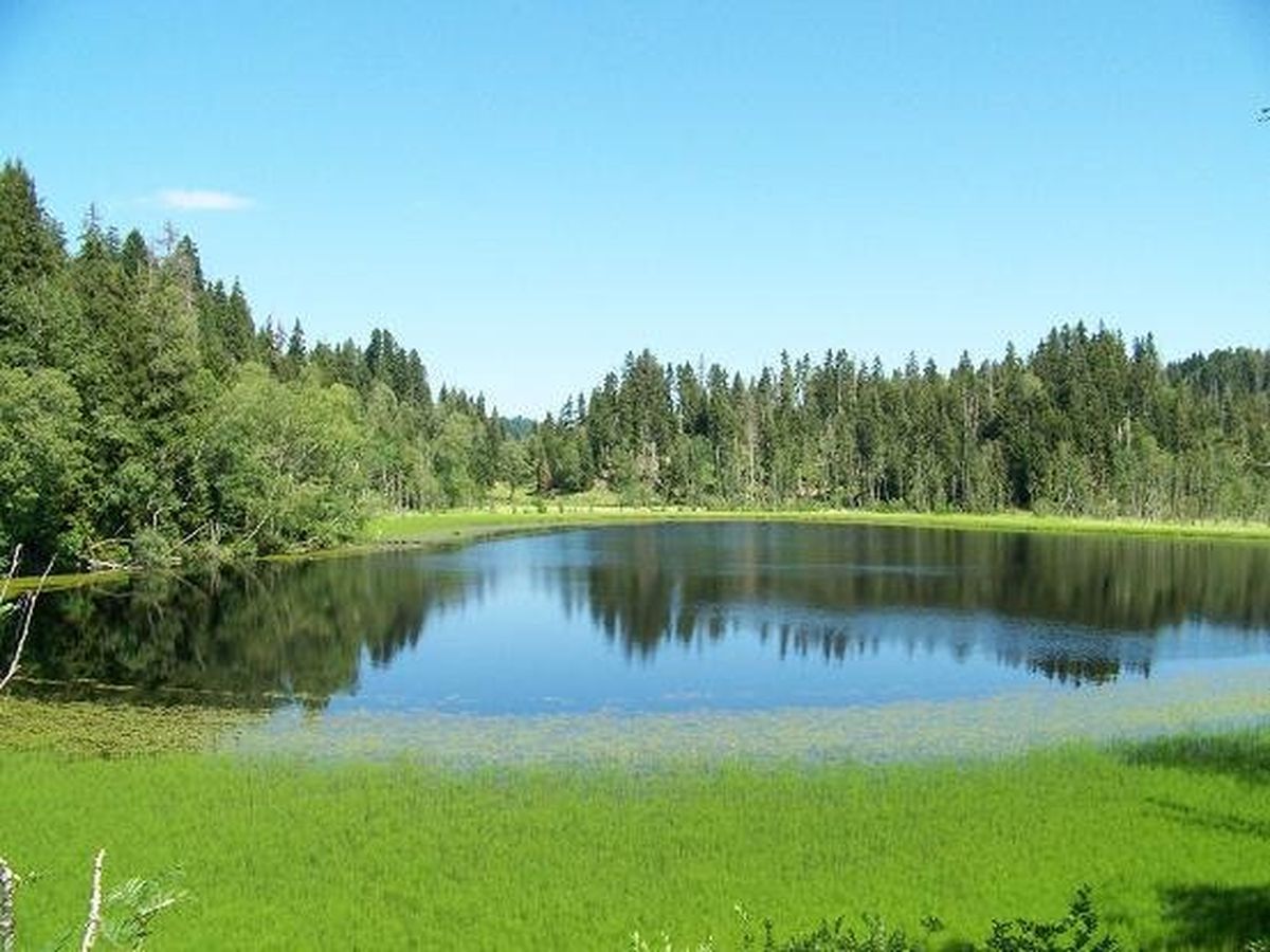 دریاچه لیزی در تفلیس