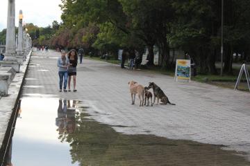 تفرجگاه پرومناده در سوخومی