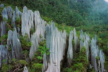 پارک ملی Gunung Mulu در کوتاکینابالو - مالزی